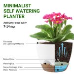 FOUKUS Set of 5 Self-Watering Plant Pots with Drainage – Eco-Friendly Plastic Planters for Indoor & Outdoor Use – Pots for Succulents, Cactus, Snake Plants (7, 6.5, 6, 5.5, 5) – Green - Image 11